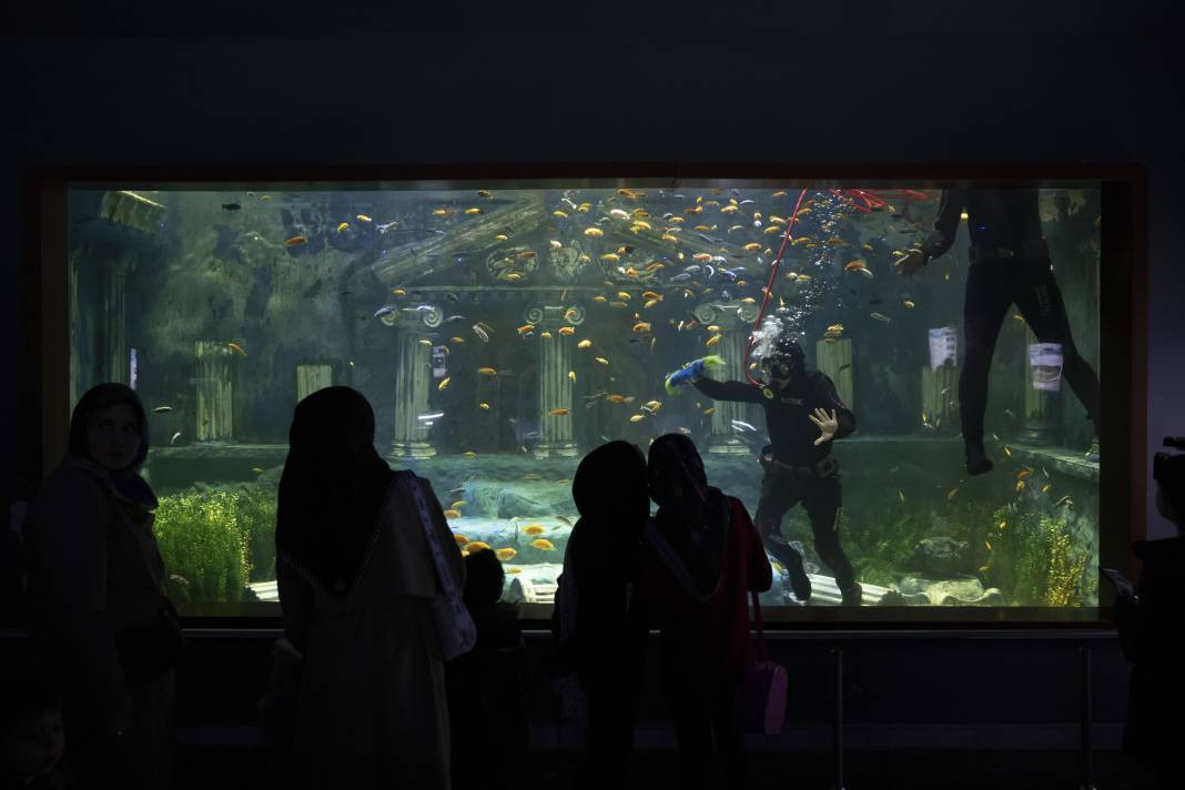 Sanayi dalgıçları vatoz ve köpekbalıklarını elleriyle besliyorlar. Onlar en zor mesleği yapıyor! - Resim: 13